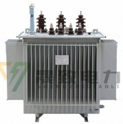 電力變壓器狀態(tài)檢修技術(shù)的要點(diǎn)認(rèn)知